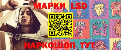 прущие грибы Будённовск