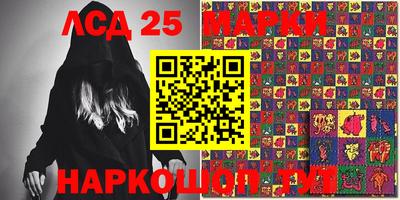 прущие грибы Будённовск
