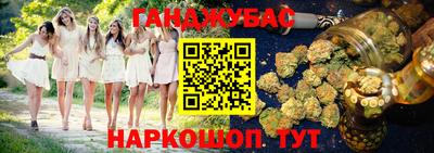 прущие грибы Будённовск